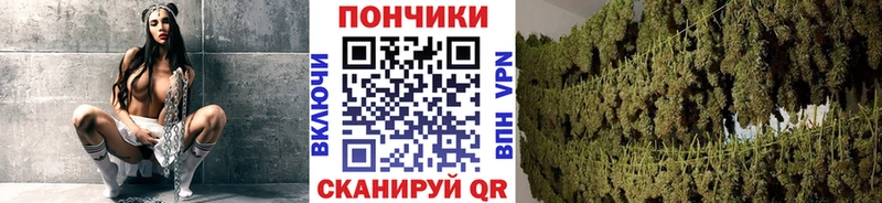 Где найти наркотики Тейково АМФ  Меф мяу мяу  COCAIN  APVP 