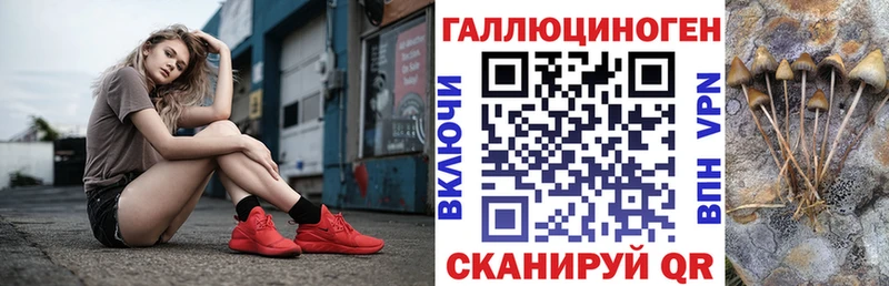 где купить наркотик  Тейково  Псилоцибиновые грибы GOLDEN TEACHER 