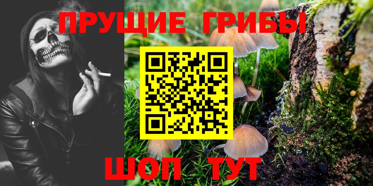 Псилоцибиновые грибы ЛСД  Псилоцибиновые грибы GOLDEN TEACHER  Вход с VPN  Тейково 
